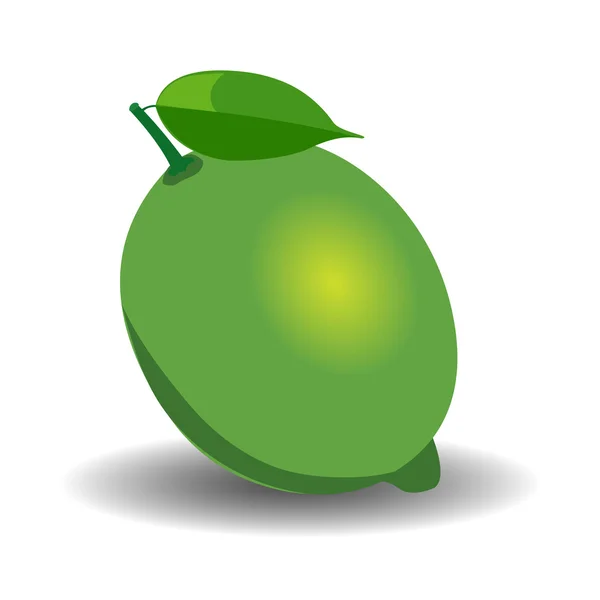 Saftig Lime. Vektor illustration — Stock vektor