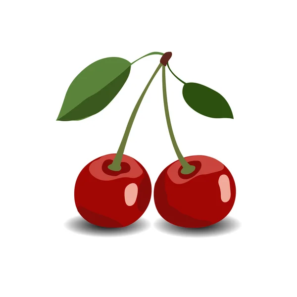 Red cherrys and leaf. — Stock Vector © potapovnikolay #15783473