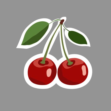 kiraz vektör çizim