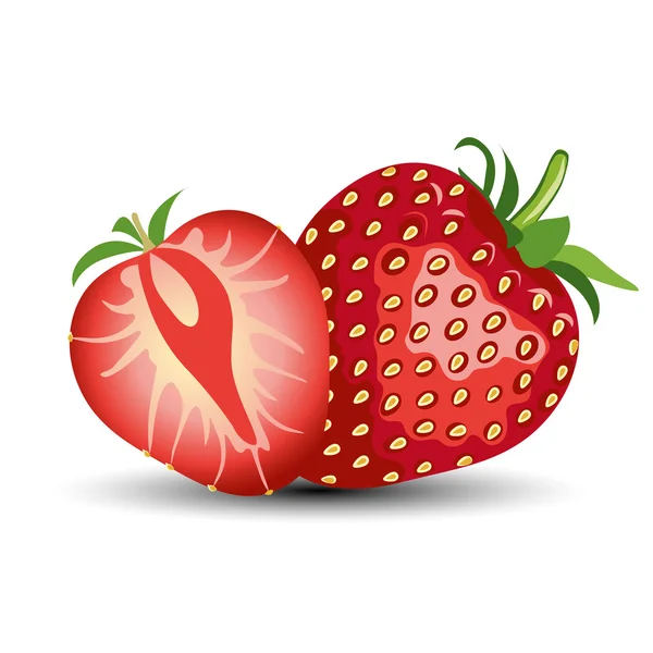 아름 다운 빨간 딸기 벡터 일러스트입니다. 딸기 과일 격리입니다. 흰색 배경 — 스톡 벡터