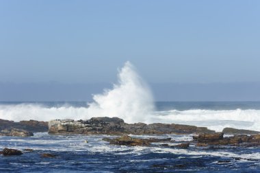 Deniz manzara mavi gökyüzü arka plan ile