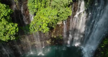 Ağaçlı ve ormanlı Tinago Şelalesi. Lanao del Norte. Mindanao, Filipinler.