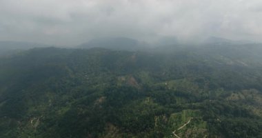 Bulutlu bir gökyüzünün altında dağınık bitki örtüsüyle dağlık bir dağ sırasının puslu ormanlı yamaçları. Ko Samui, Tayland.