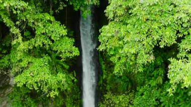Orman ve bitkilerle birlikte su akıntısı. Tuasan Şelalesi. Camiguin Adası. Filipinler. Yavaş çekim.
