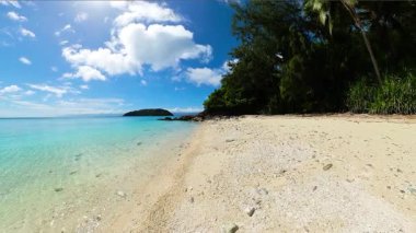 Hindistan cevizi ağaçları ve kristal berrak deniz suyuyla tropik bir sahil. Romblon Adası. Filipinler.