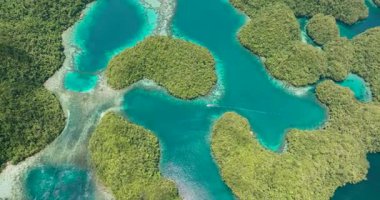 Yağmur ormanı tepeleri ve gölde bulutlu gök mavisi suyu olan adanın havadan görünüşü. Sohoton Koyu. Bucas Grande Adası. Mindanao, Filipinler.