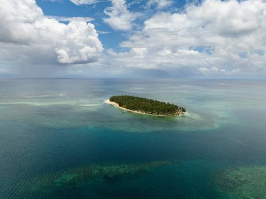 Uzun hindistan cevizi ağaçlarıyla kaplı ve kumlu kıyılar ve berrak denizlerle çevrili tropikal bir ada. Siargao, Filipinler. Casa Desideria.