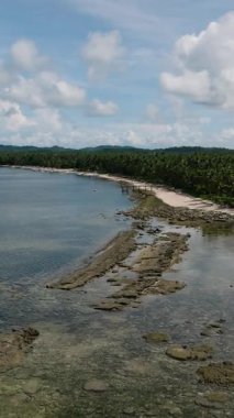 Hindistan cevizi ağaçları ve sakin deniz suyuyla kaplı sahil sahili. Siargao, Filipinler.