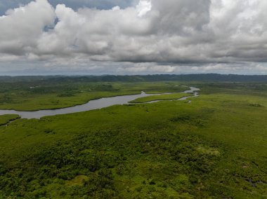 Uzak dağlar ve mavi gökyüzü ile mangrov ormanları arasında geniş nehir rüzgarları esiyor. Siargao, Filipinler.