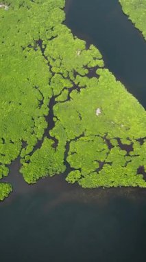 Mangrove adası görünür iç su yolları ve yoğun bitki örtüsüyle. Siargao, Filipinler.