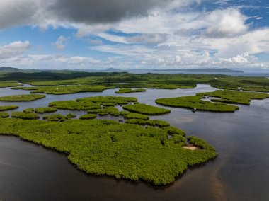 Mangrov adaları kümeleri, tropikal gökyüzü altında doğal sulak bir desen oluşturan gelgit sularında dururlar. Siargao, Filipinler.