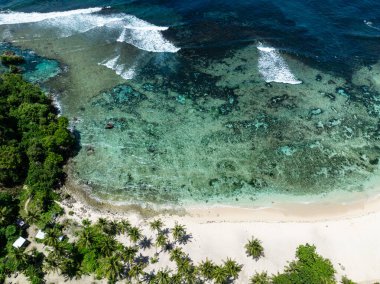 Palmiye ağaçlarıyla kaplı beyaz kumlu sahil ve mercan resifli turkuaz su. Siargao, Filipinler.
