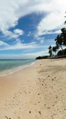 Hindistan cevizi ağaçlarıyla kıyı şeridi ve dalgalı kumlu plaj. Romblon, Filipinler 'deki Carabao Adası. Dikey görünüm.