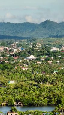 Surigao City 'de hindistan cevizi ağaçları ve evler. Mindanao, Filipinler. Görüntüyü yakınlaştır. Dikey, hikayeler.
