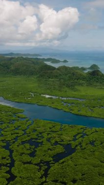 Mavi nehir yeşil mangrov ormanları ve bitki örtüsü ile birlikte kıyı arazisi boyunca akar. Siargao, Filipinler.