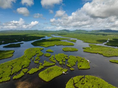 Nehirler geniş bir mangrov arazisinden kıyı şeridine ve açık denize doğru uzanır. Siargao, Filipinler.