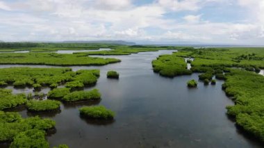 Mangrov adacıkları kümeleri sakin sığ sulara yayılarak doğal desenler oluşturur. Siargao, Filipinler.