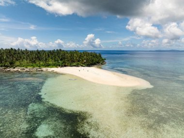 Palm Forest, tropikal kıyı şeridi boyunca sığ turkuaz sularla buluşan kumlu bir plaja kadar uzanır. Kawhagan Adası. Siargao, Filipinler.