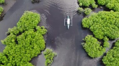 Çamurlu kıyı şeritleriyle Mangrove nehir kanallarında yol alan bir tekne. Siargao, Filipinler.