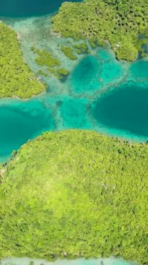 Adanın etrafındaki gölcüklerdeki sersemletici temiz suyun insansız hava aracı görüntüsü. Tinaago Adası. Mindanao, Filipinler. Deniz Burnu. Dikey görünüm.