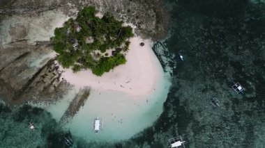 Palmiye ağaçları ve resiflerle çevrili beyaz kumlu plajlarla kaplı adanın insansız hava aracı görüntüsü. Guyam Adası. Siargao, Filipinler.