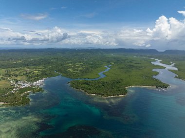 Mangrov kanalları orman arazisinden sığ, berrak denize akıyor. Siargao, Filipinler.