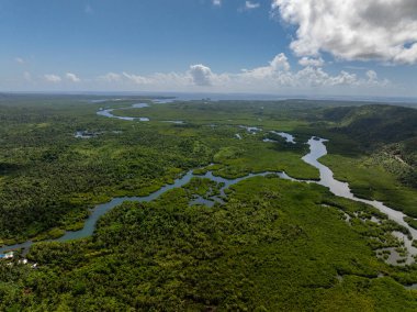 Nehrin yeşil tropikal ormanlarda ve mangrovlarda okyanusa bakan havadan görünüşü. Siargao, Filipinler.