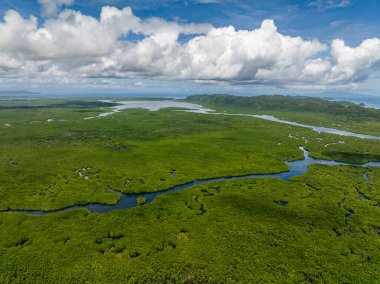 Ufuk çizgisine uzanan geniş bir mangrov ormanı. Siargao, Filipinler.