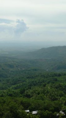 Filipinler dağlarının yamaçlarındaki tropikal yeşil orman ve ormanların hava araştırması. Mindanao. Dikey görünüm.