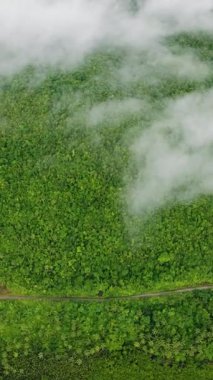 Yoğun yeşil tepeler ve orman üzerinde alçak bulutlar sürükleniyor ve yol manzarayı kesiyor. Siargao, Filipinler.
