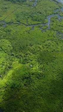 Yoğun mangrov ormanlarından geçen karmaşık nehir sistemi güneş ışığı altında ışıldayan yansıtıcı suyla birlikte. Siargao, Filipinler.