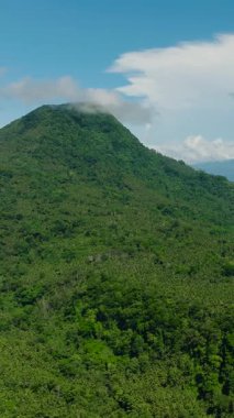 Orman ve ormanlı dağ tepesinin havadan görünüşü. Mavi gökyüzü ve bulutlar. Camiguin Adası. Filipinler. Dikey video.