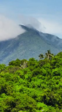 Yeşil tepeler ve dağ ormanlarından oluşan tropik bir manzara. Filipinler. Dikey görünüm.