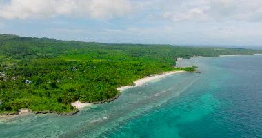 Sahilde turkuaz su ve mercan resifleri. Carabao Adası. Tan-agan Piknik Mağazası. Romblon, Filipinler.