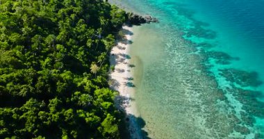 Hindistan cevizi ağaçlı plaj ve güneş yansımalı beyaz kum. Romblon, Romblon 'daki Bang-og Adası. Filipinler.