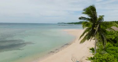 Hindistan cevizi ağaçlarıyla kıyı şeridi ve berrak okyanus dalgalarıyla beyaz kumlu plaj. Santa Fe, Tablas, Romblon. Filipinler. 5 bin..