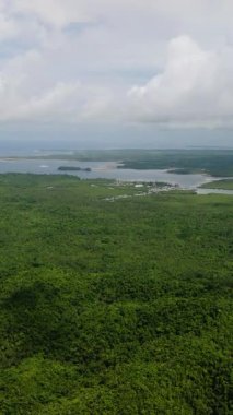 Uzakta bir sahil kasabası ve denizi olan tropik yeşil orman. Siargao, Filipinler.
