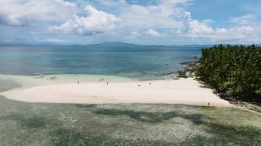 Tropikal kum barı ve turkuaz sığ suyu olan palmiye plajı. Kawhagan Adası. Siargao, Filipinler.