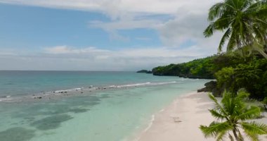 Turkuaz deniz suyu ve hindistan cevizi ağaçlı beyaz kumlu sahilde dalgalar. Carabao Adası, Romblon. Filipinler.