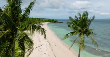 Hindistan cevizi ağaçları ve beyaz plajlı Carabao Adası. Mavi gökyüzü ve bulutlar. Romblon, Filipinler.
