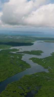 Geniş nehir mangrov ormanları boyunca akar ve bulutlu gökyüzünün altında yeşil ovalar. Siargao, Filipinler.