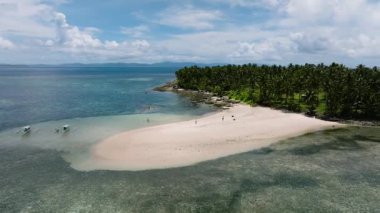 Tropik palmiye ağaçları kumlu bir sahil boyunca sığ deniz suyuyla buluşur. Kawhagan Adası. Siargao, Filipinler.