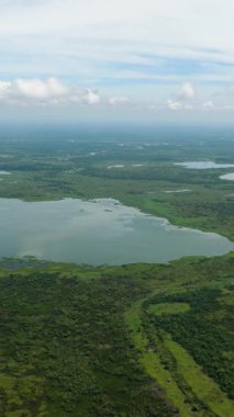 Filipinler 'deki Agusan Bataklığı' ndaki bataklık ormanları, su yolları ve göllerden oluşan geniş bir sulak arazi. Mindanao. Dikey görünüm.