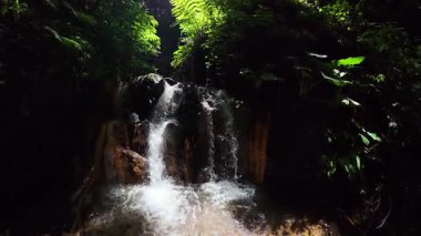 Şelalenin ikiz akıntıları, üzerinde güneş ışığı olan yoğun yeşil ormandaki kayalık havuza dökülüyor. Baslay, Zenciler, Filipinler.