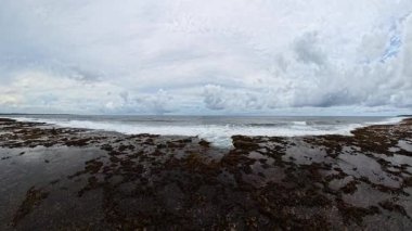 Kayalık kıyı şeridi, alçak gelgit sırasında yosunlarla kaplıydı ve bulutlu bir gökyüzünün altında dalgalar kırılıyordu. Siargao, Filipinler.