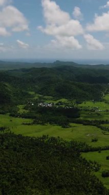 Geniş yeşil tarlalar ve yuvarlanan orman tepeleriyle çevrili tropikal bitki örtüsü vadisi. Siargao, Filipinler.