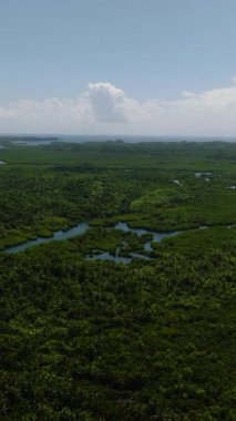 Dolaşan nehir, yoğun bitki örtüsü ve uzak tepelerle tropikal bir araziyi kesiyor. Siargao, Filipinler.