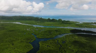 Koyu mavi nehir kanalları yemyeşil mangrovların arasından geçip açık denize doğru uzanıyor. Siargao, Filipinler.