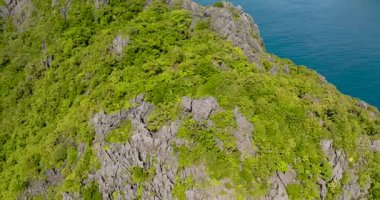 Matinloc Adası üzerinde muhteşem kaya oluşumu ve yeşil orman. El Nido, Palawan. Filipinler.