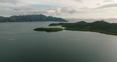 Coron Adaları ve Lajala, Coron 'daki mangrovlar. Palawan 'da. Filipinler.